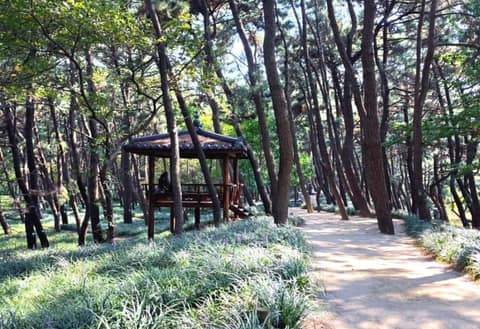 서천 둘레길 사진 4