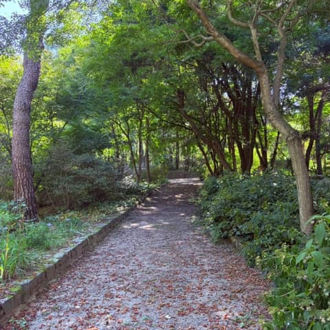 한택식물원 산책길 사진 1