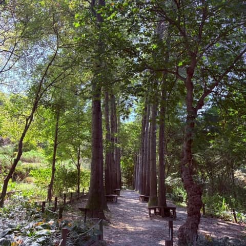 한택식물원 산책길 사진 3