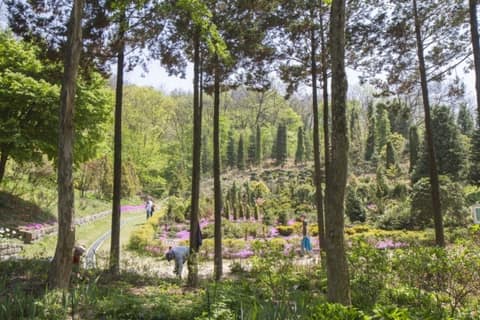 한택식물원 산책길 사진 7