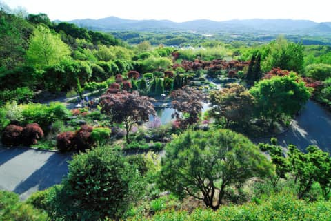 한택식물원 산책길 사진 10