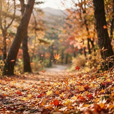 북한산 스마트둘레길 사진 7