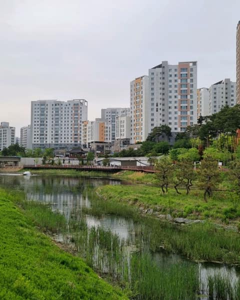 위례 창곡천 산책길 사진 2