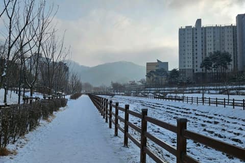위례 창곡천 산책길 사진 8