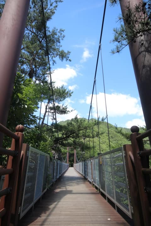 두룽산 산책로(살미면) 사진 5