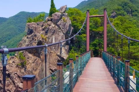 두룽산 산책로(살미면) 사진 10