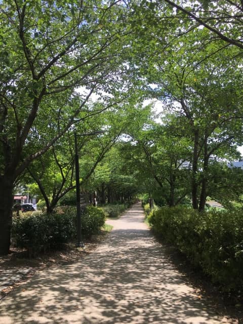 김해 율하천 산책길 사진 1
