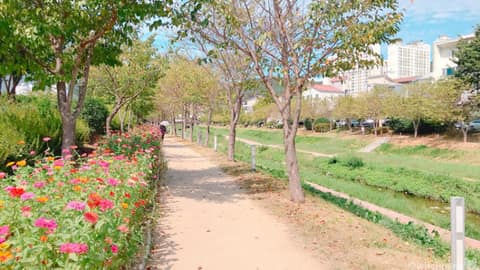 김해 율하천 산책길 사진 2