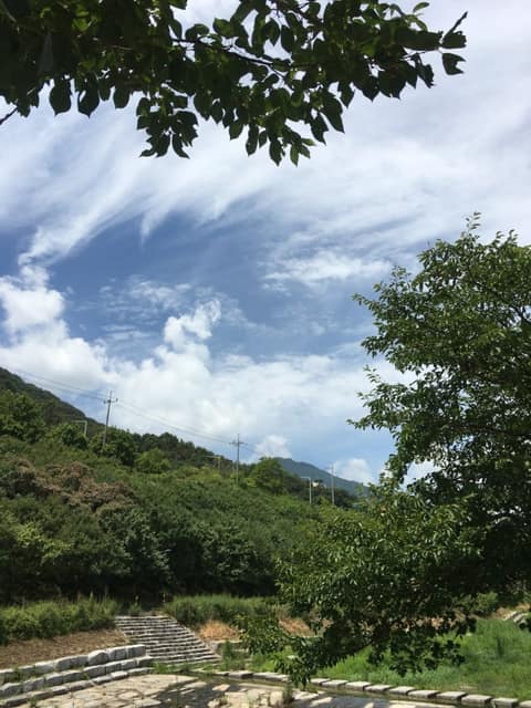 김해 율하천 산책길 사진 3