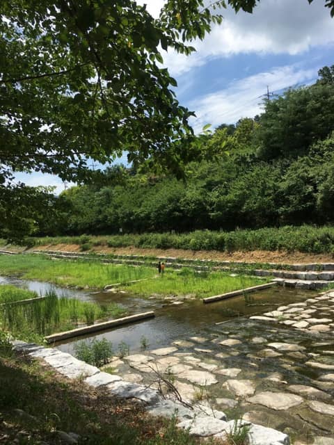 김해 율하천 산책길 사진 5