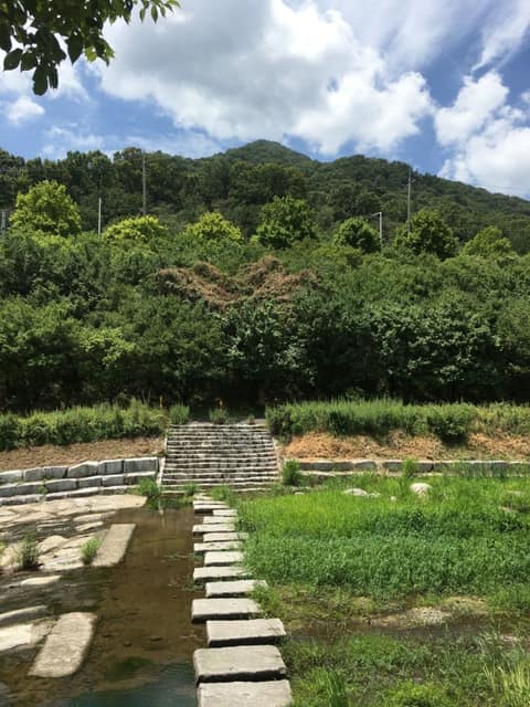 김해 율하천 산책길 사진 8