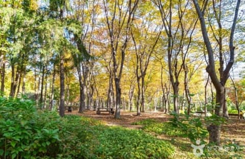 율현공원 대표 산책길 사진 1