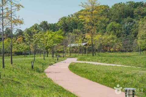 율현공원 대표 산책길 사진 3