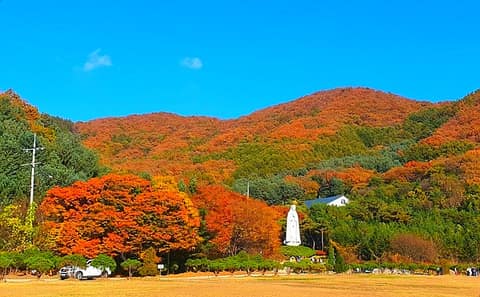앵자봉 등산로 사진 4