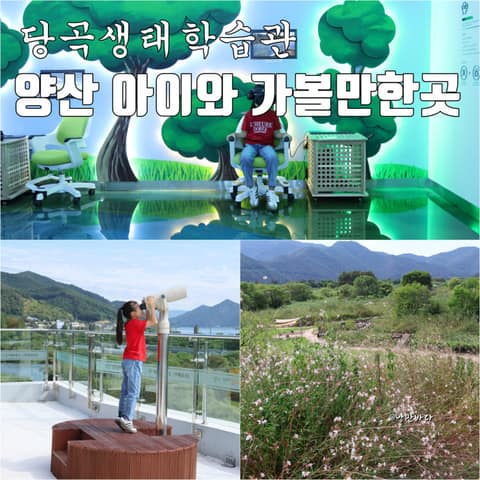 양산 당곡생태학습관 산책길 사진 7