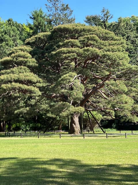 회기역-홍릉근린공원 산책로 사진 3