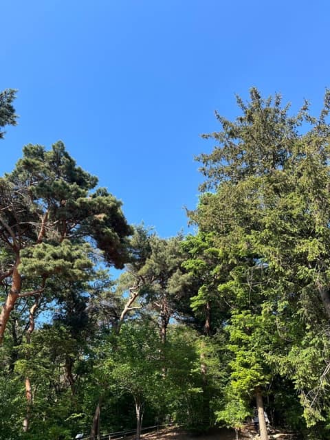 회기역-홍릉근린공원 산책로 사진 6