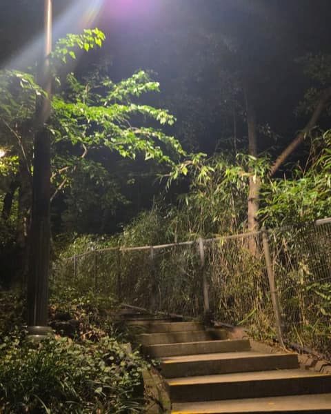 회기역-홍릉근린공원 산책로 사진 10