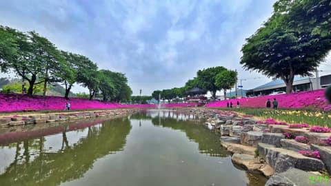 순창읍 경천 산책로 사진 3