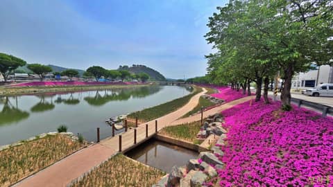 순창읍 경천 산책로 사진 4