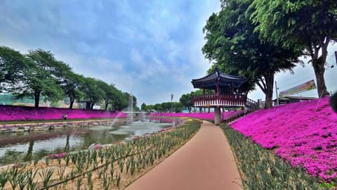순창읍 경천 산책로 사진 6