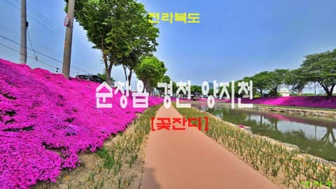 순창읍 경천 산책로 사진 7