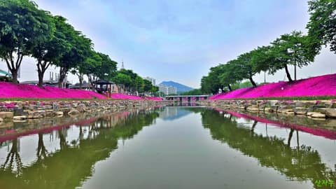 순창읍 경천 산책로 사진 8