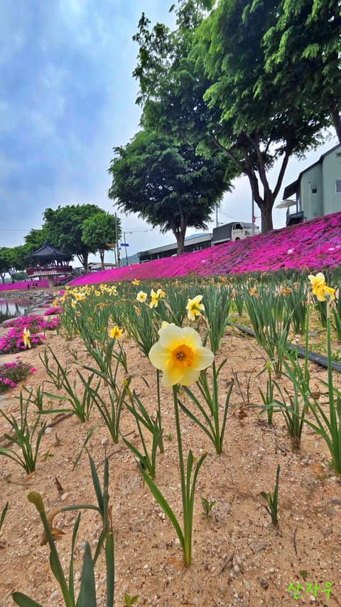 순창읍 경천 산책로 사진 9