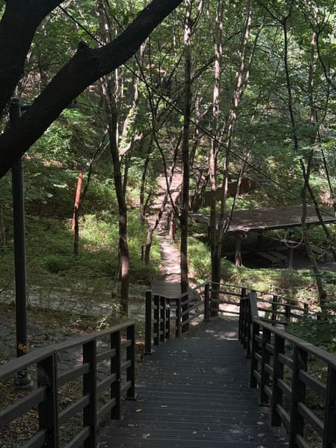 개운산-개운산공원 산책길코스 사진 1
