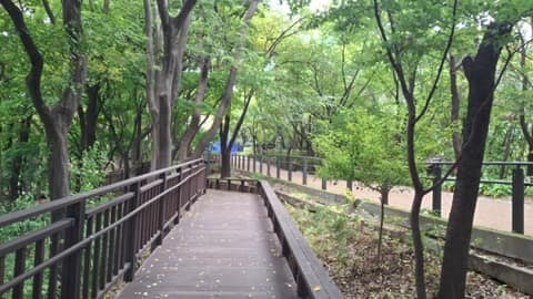 개운산-개운산공원 산책길코스 사진 4