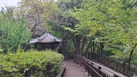개운산-개운산공원 산책길코스 사진 5