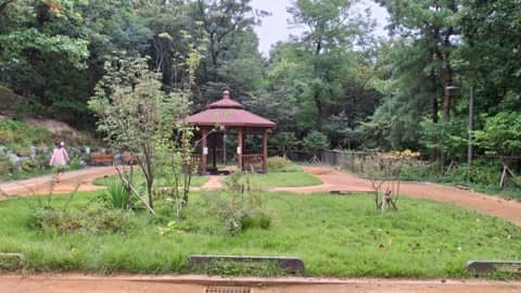 개운산-개운산공원 산책길코스 사진 8
