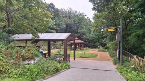 개운산-개운산공원 산책길코스 사진 10