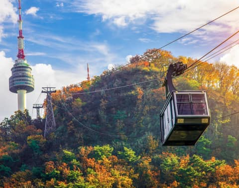 남산 등산로(1코스) 사진 1