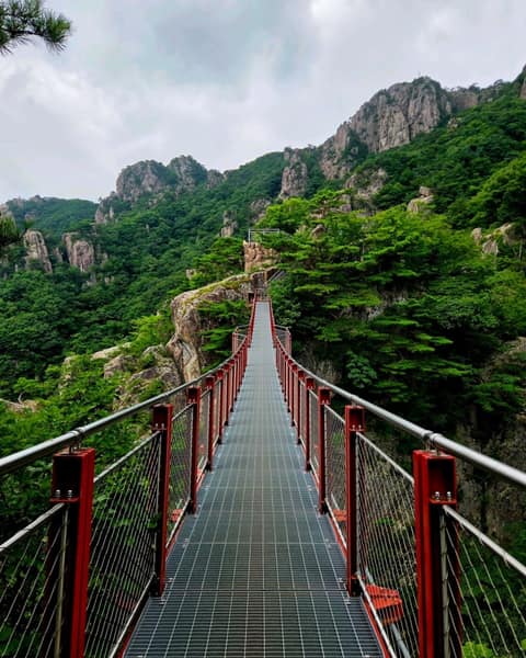 대둔산 등산로 사진 4