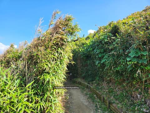 등대공원 산책로(소태면) 사진 8