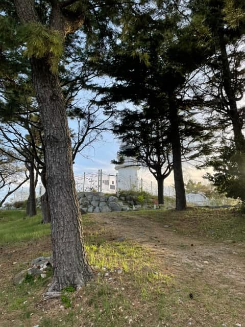 등대공원 산책로(소태면) 사진 9