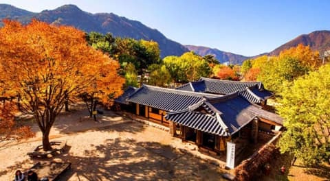 조양강둘레길 사진 5