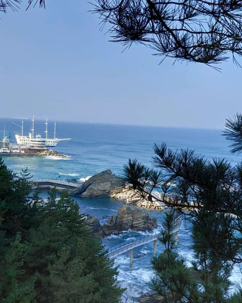 정동진 조각공원 산책길 사진 3