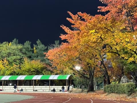 동구 구민운동장 산책코스 사진 1