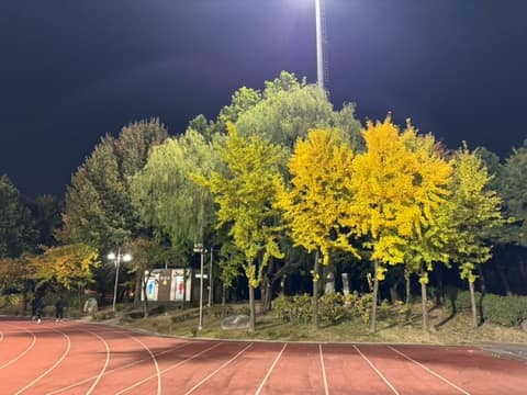 동구 구민운동장 산책코스 사진 2