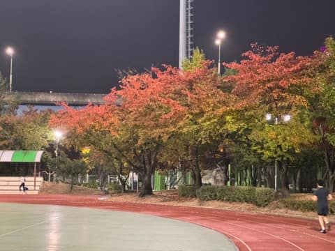 동구 구민운동장 산책코스 사진 4
