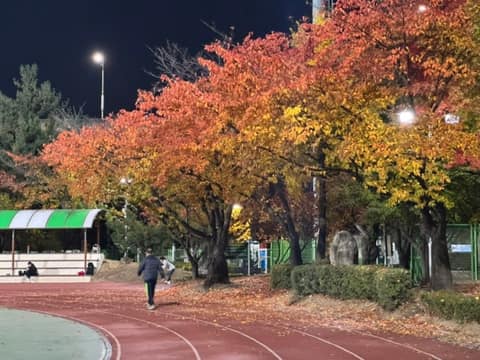 동구 구민운동장 산책코스 사진 5