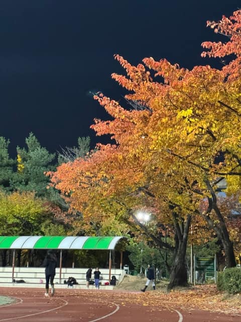 동구 구민운동장 산책코스 사진 8