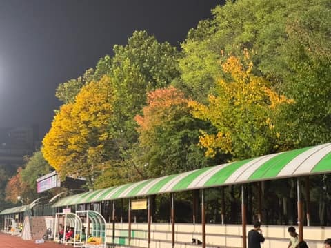 동구 구민운동장 산책코스 사진 10