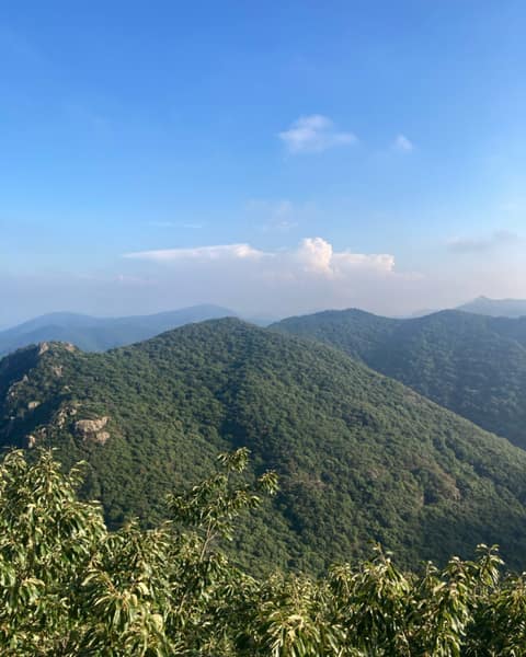 영취산 등산로 사진 3