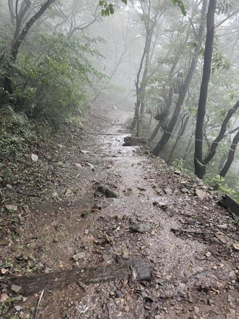 영취산 등산로 사진 5