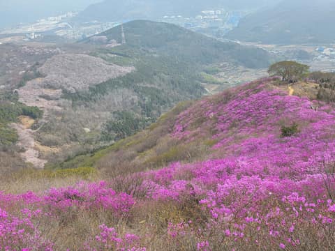 영취산 등산로 사진 6