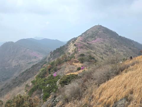 영취산 등산로 사진 8