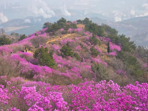 영취산 등산로 사진 9